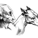人間と犬。『人間の観相学について』、ジャンバッティスタ・デッラ・ポルタ。